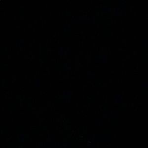 Meet your Posher, Eva